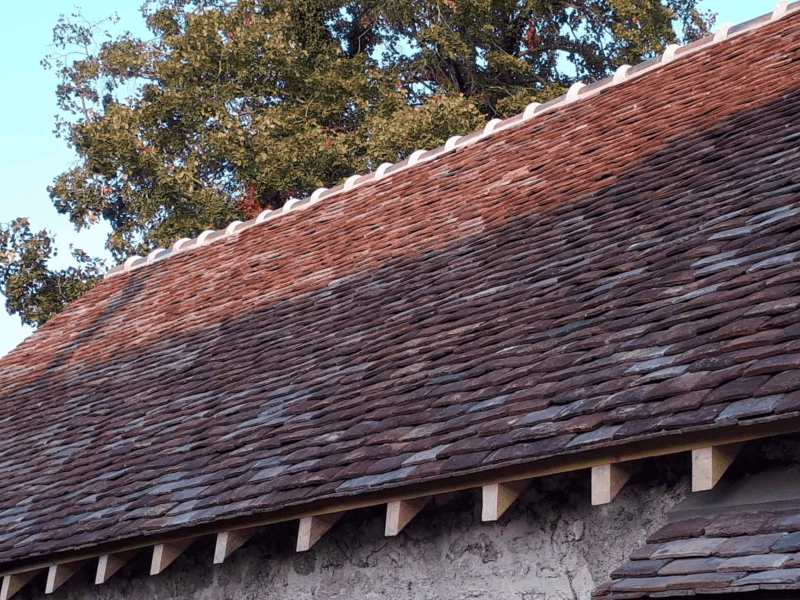 B20045F6-77B7-424C-AA85-AED11E8E0D5E